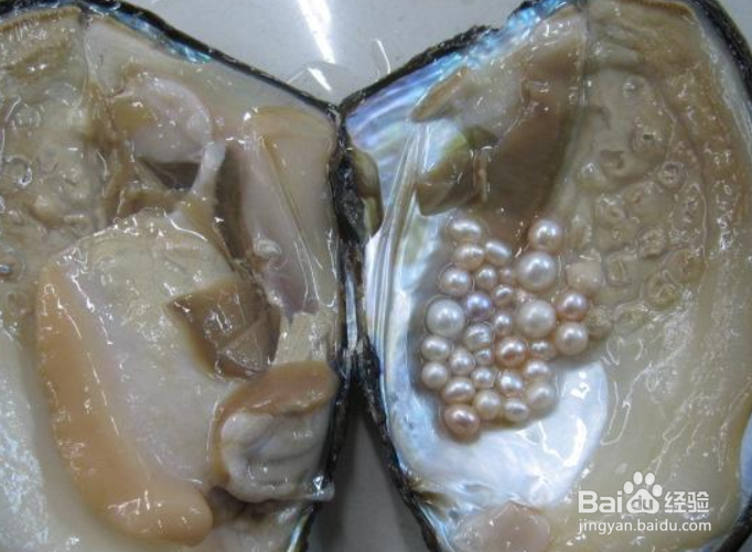 亩产1579斤！惠水断杉珍珠洋芋试种喜获成功(图1)