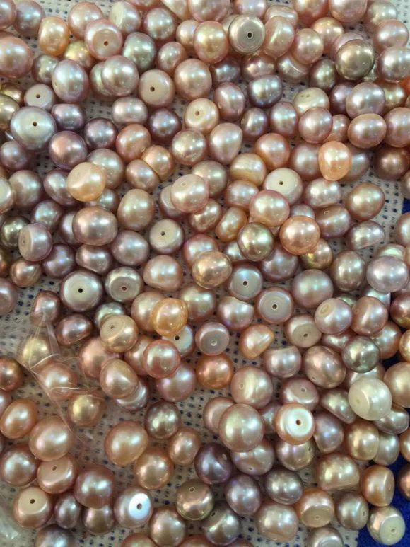 惠水断杉珍珠洋芋试种喜获成功(图1)