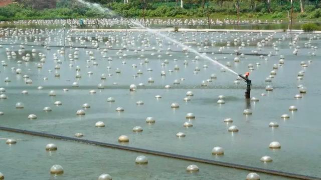 千山叠翠绘丹青——写在甘孜州成功创建国家生态文明建设示范区之际(图1)