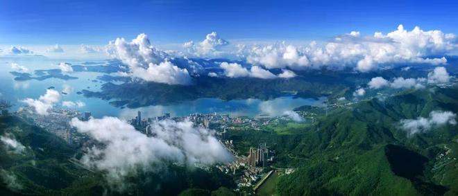 营商观察｜看深圳盐田如何玩转“场景+服务+产业”新生态？(图1)