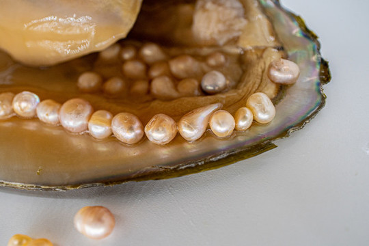 文明实践｜2025开江“民生微光” 从细微处着手让温暖浸润城市每一个角落(图1)