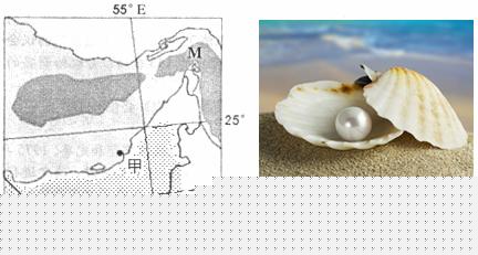 最新政策 泉州出台34条措施全力冲刺2026年第一季度经济社会良好开局(图1)