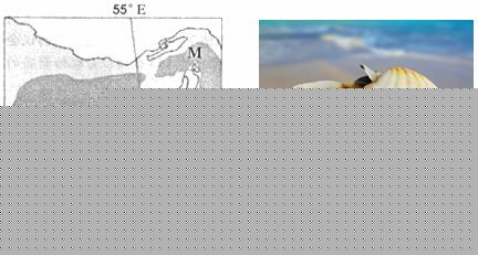 缦云上海 (官方售楼处) 官网 - 缦云上海销售中心 - 环境户型价格地址楼盘详情配套电话交房时间配套电话交房时间(图1)