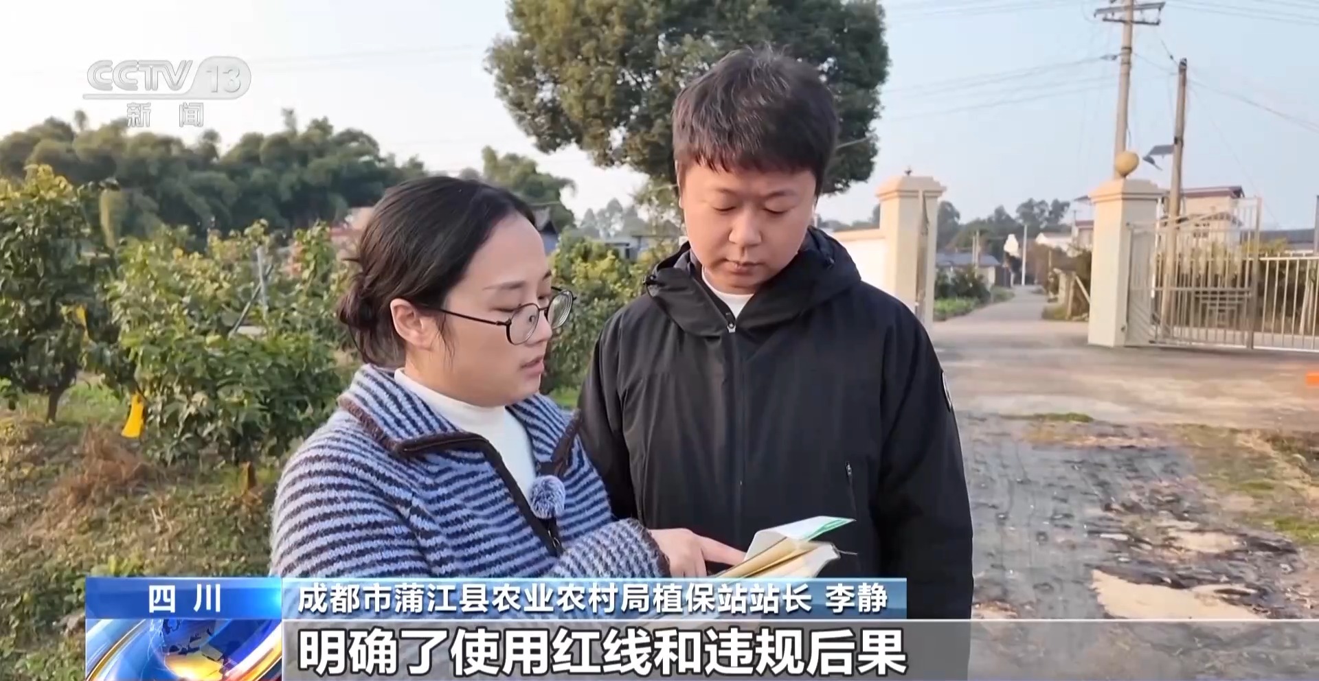 农产品踏上“碳足迹” 这个新标尺让柑橘“甜”上加“值”(图1)