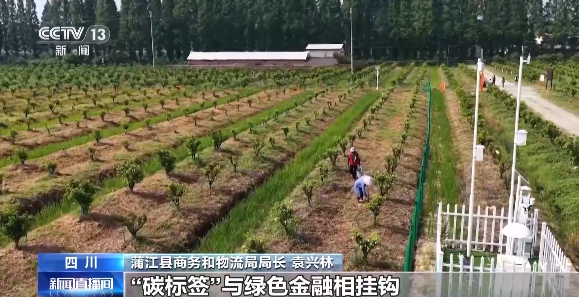 农产品踏上“碳足迹” 这个新标尺让柑橘“甜”上加“值”(图5)