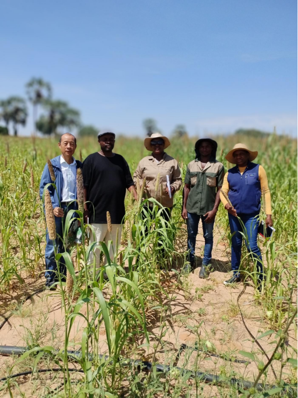 种子减贫传佳话 潜江农技耀非洲(图2)