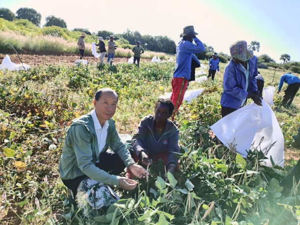 种子减贫传佳话 潜江农技耀非洲(图5)