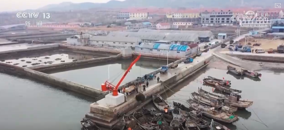 “海上牧场”迎丰收产销两旺 科学养殖新模式为“深海粮仓”注入澎湃“新”动力(图9)