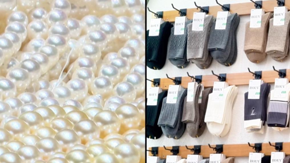 向“新”而行：区域产业升级激发经济新动能(图1)