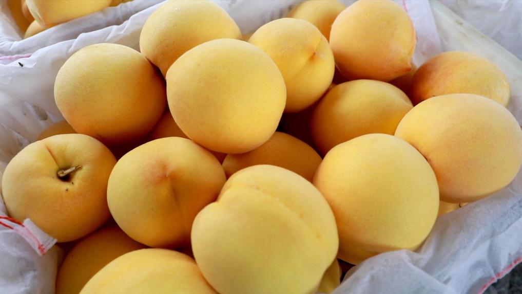 向“新”而行：区域产业升级激发经济新动能(图9)