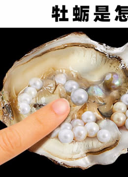 西和：小半夏成富民“金豆子”(图1)