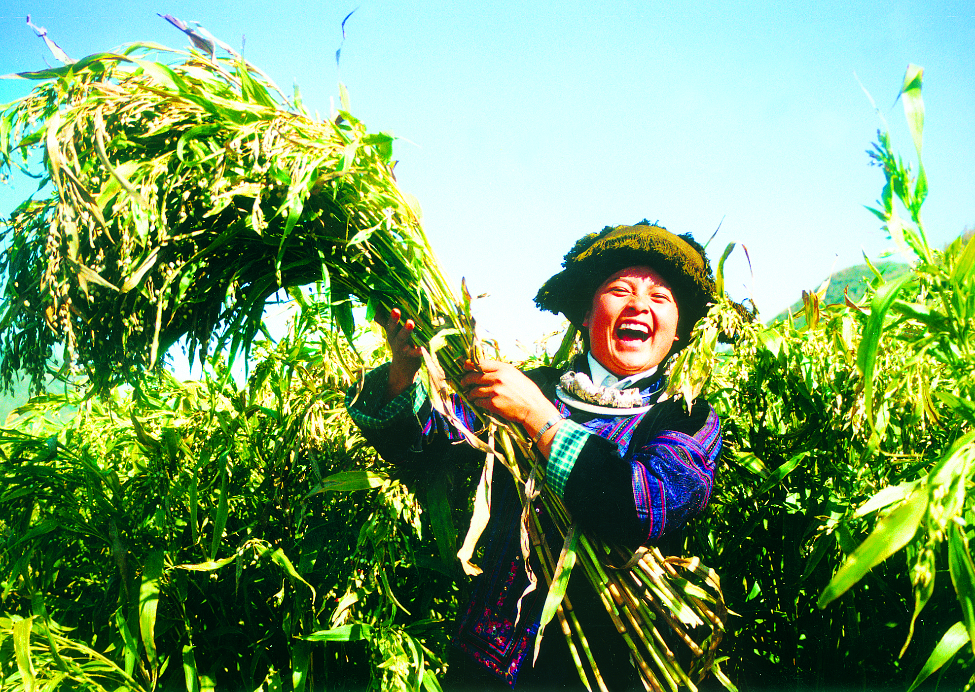 惠黔力推产业集群化发展 两年实施特色产业提升项目60个(图3)