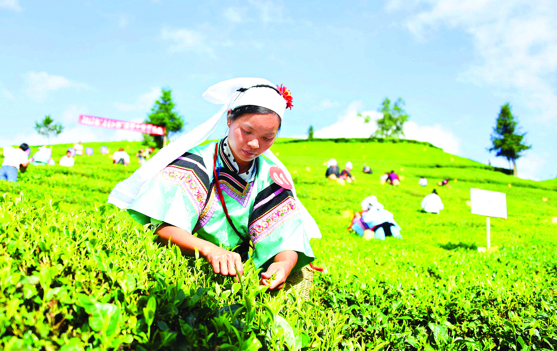 惠黔力推产业集群化发展 两年实施特色产业提升项目60个(图6)