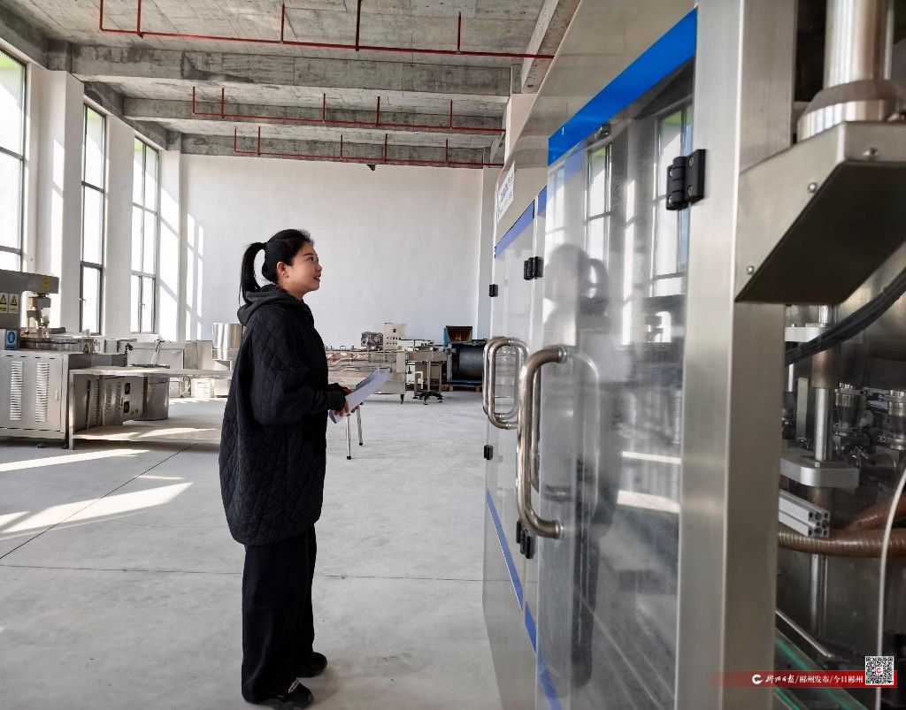 才聚林邑 郴就未来丨北雁南飞 辣业兴农——记东北“辣妹子”张惠影和她的湘南“辣椒版图”(图4)