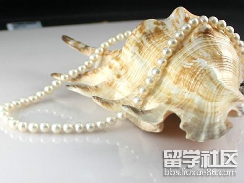 钻石-CFW时尚(图1)