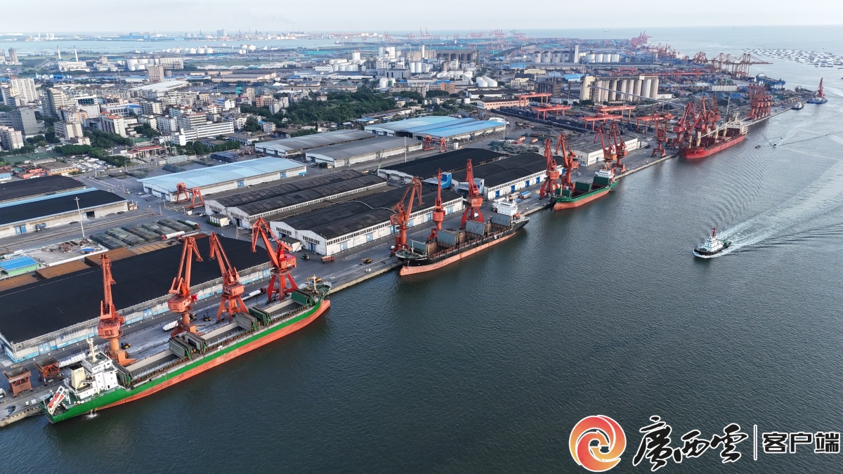 挺进蔚蓝 强港兴海——防城港市推动向海经济高质量发展观察(图5)