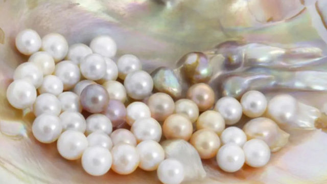 第三届全国人工智能应用场景创新挑战赛总决赛暨 全国人工智能+应用场景创新大会在苏州开幕(图1)