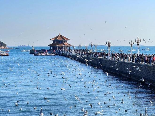 青岛三日游旅行团多少钱？别被低价套路！(图2)