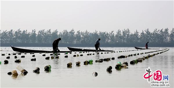 “千万工程”新画卷(图1)