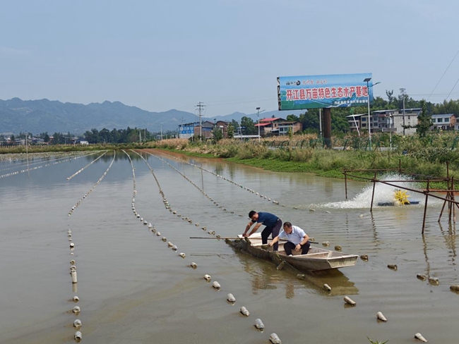 四川开江珍珠蚌有了专属保险(图1)