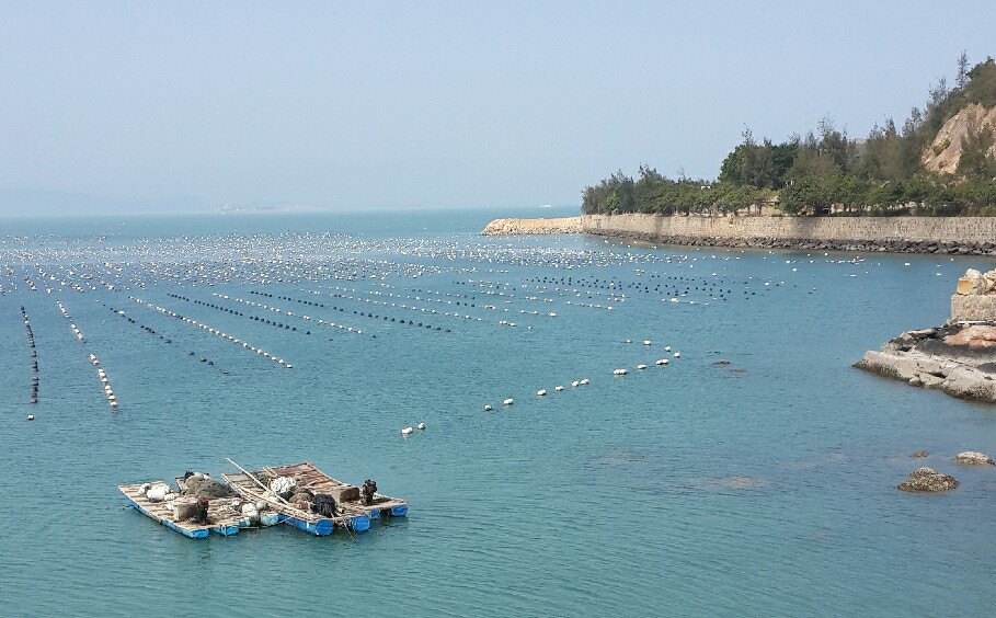 张金镇:推进养殖尾水治理 守护水域生态环境(图1)