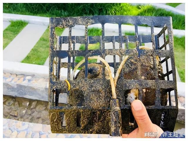 浙江超级小镇掌控全球珍珠生意(图7)