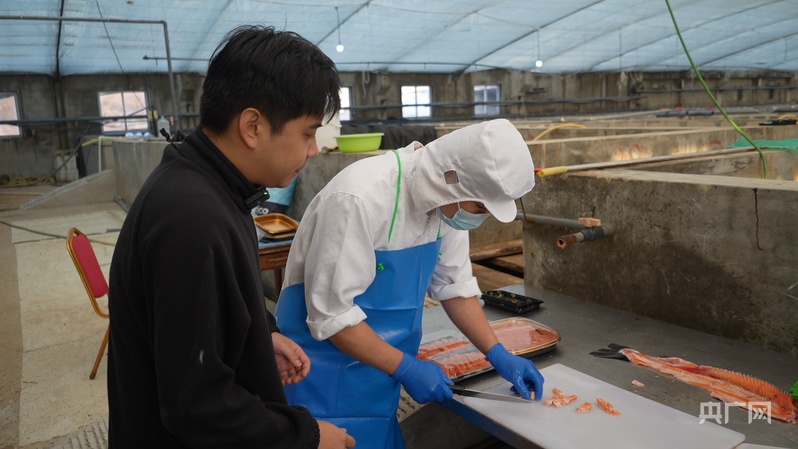 新春走基层 年夜饭添“鲜”味 国产三文鱼打破进口垄断(图4)