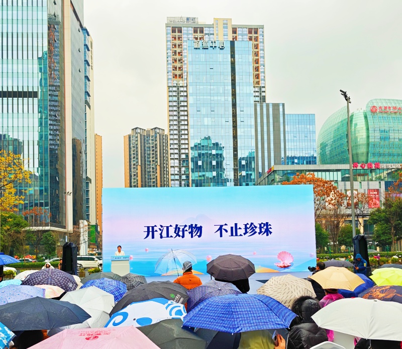 “珍”好时光 从“蓉”赴开 田城开江携珍珠田园之美邀客赴新春之约(图8)