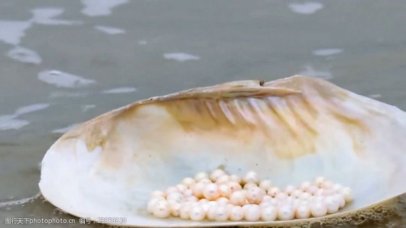 一颗珍珠催生“美丽经济”！这个川东北小县城靠珍珠蚌年挣3个亿(图1)