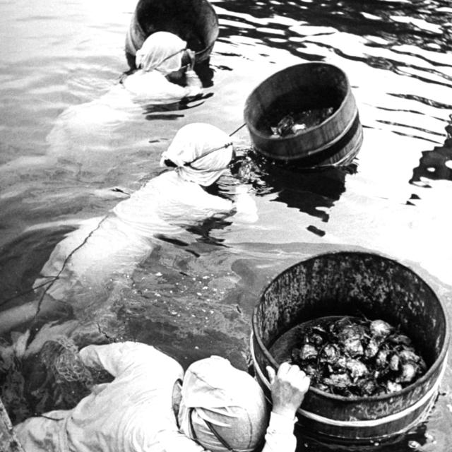 全球十大天价护肤品牌珍妮布朗凭工艺脱颖而出(图1)