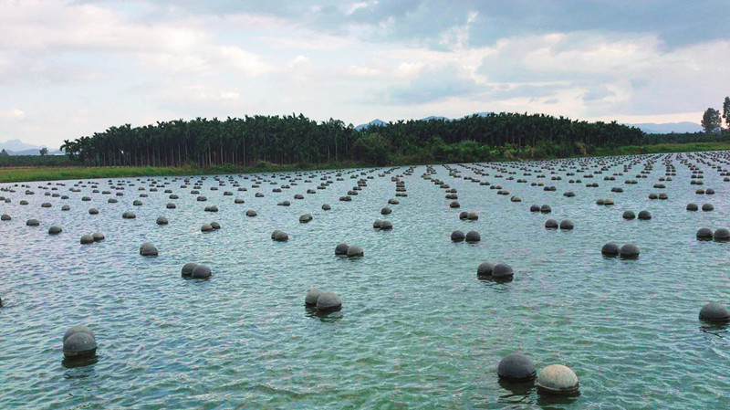 2025年奶茶行业创新榜：这5个品牌值得关注(图1)