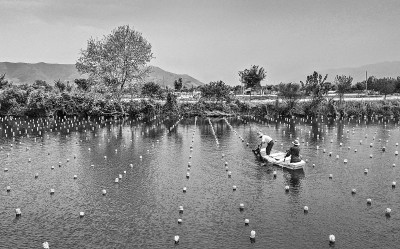 创意农业美学推荐官丨已延续400多年的乡村大集为啥越来越火——在烟火升腾处打捞那些治愈人心的“乡愁引力”(图1)