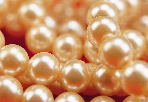 珍珠的采收和处理方法(图3)