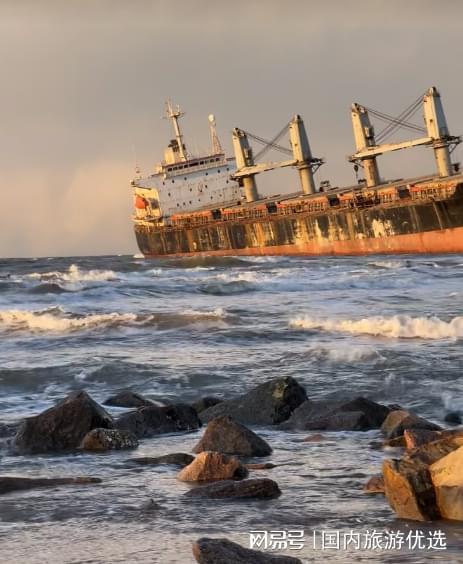 青岛旅游团报名一日游特惠线路性价比超高(图2)