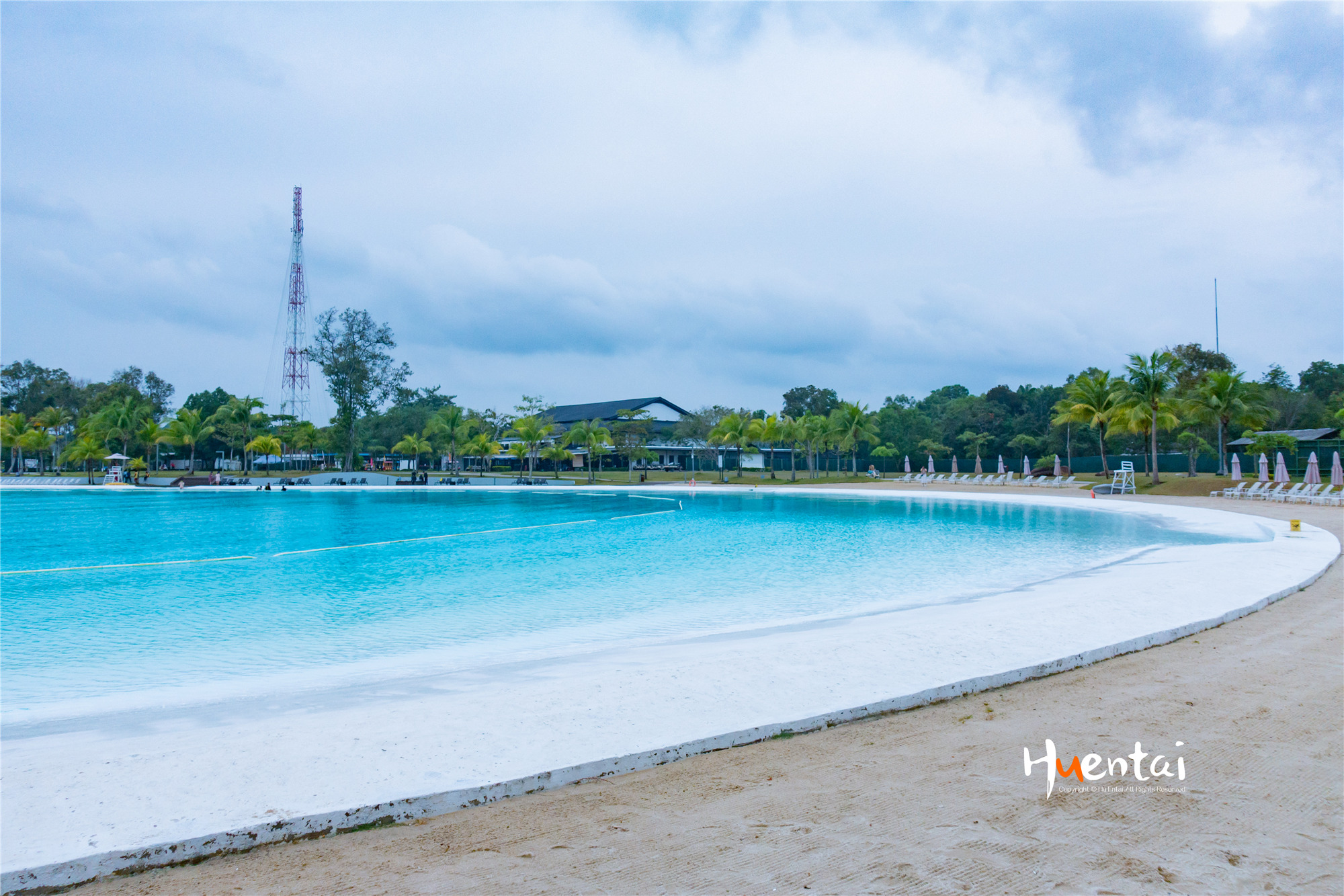 张一鸣再次登顶中国首富他捐赠办了家非营利机构(图1)