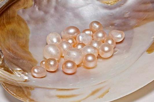 北京柳成荫文化发展中心：让传记告诉未来(图1)