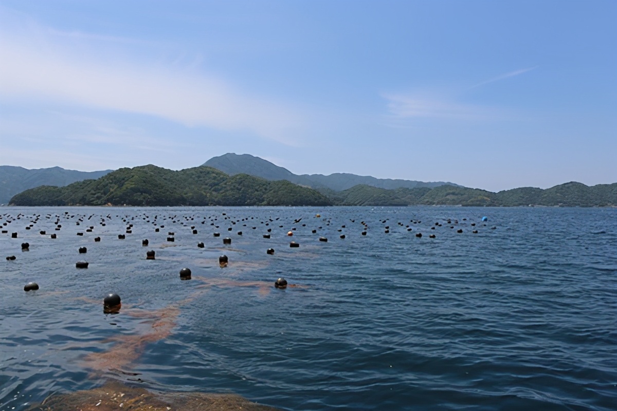 山东省新增两家省级农业高新技术产业示范区(图1)