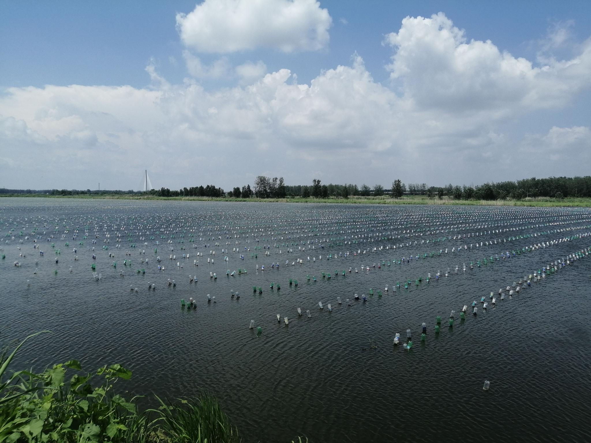 求解低碳创业困境(图1)