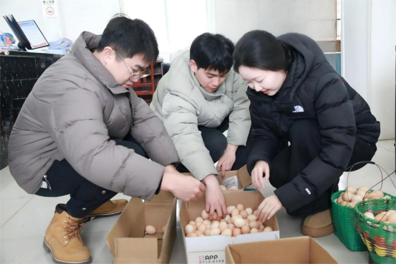 驻村工作队的振兴答卷(图2)