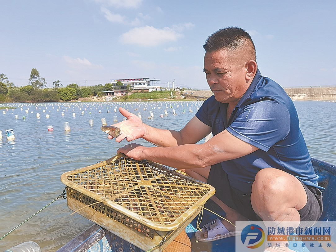 珍珠蚌怎么养 pdf(图1)