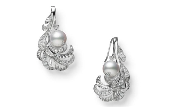 打破学科边界！深耕20余年她解锁大脑决策“黑箱”(图1)