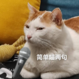 在国内濒临绝迹的贡茶 正在国外做奶茶皇帝(图9)