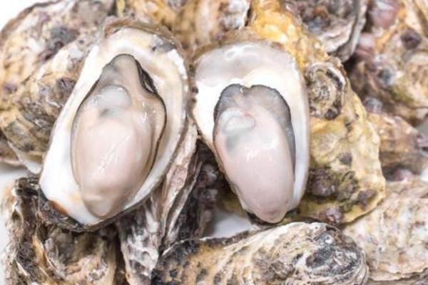 邦泰朗境(售楼处) 首页 - 邦泰朗境销售中心-环境 - 户型价格地址楼盘详情配套电话交房时间配套电话交房时间(图1)