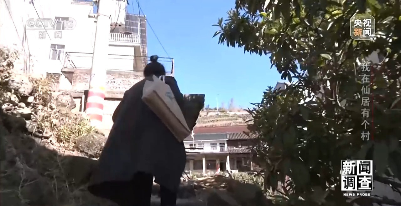 看台州新闻关注浙江在线台州频道微信(图1)