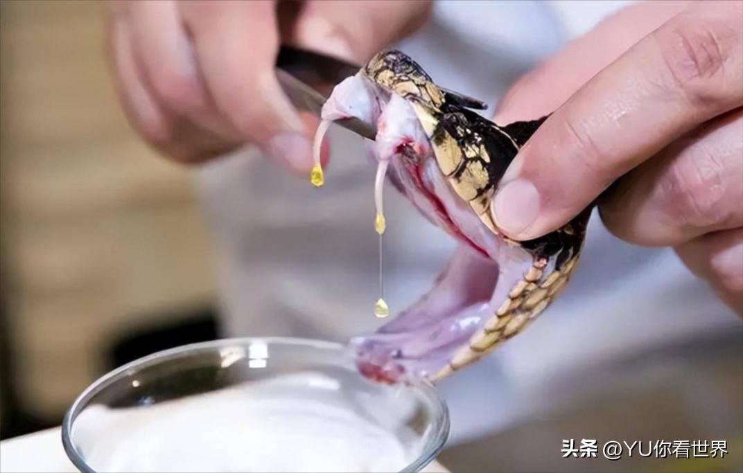 全球最贵的 10 种液体：一滴价值 4400 万美元比黄金贵 34万倍(图2)