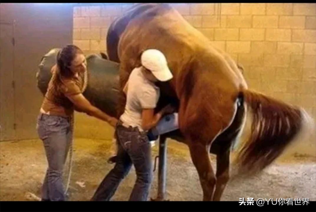 全球最贵的 10 种液体：一滴价值 4400 万美元比黄金贵 34万倍(图4)