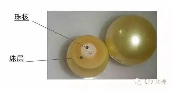 2026四川高速免费时间（最新）(图1)