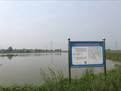 党建引领行业协会商会高质量发展｜浙江珍珠行业协会：珍珠链上“枫”景线 且看巧串珠(图1)