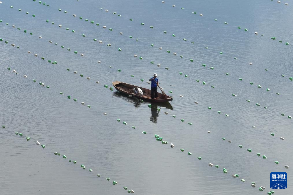 海南瑞泽新型建材股份有限公司2025年年度报告摘要(图1)