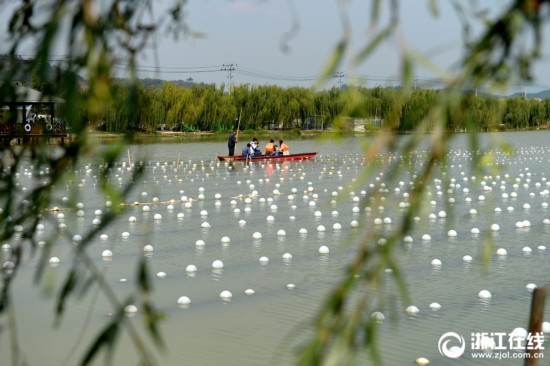 践行嘱托凝心聚力推动高质量发展(图1)